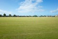 Background texture of a large sports ground with green grass against blue sky with some Australian suburban homes in the distance. Royalty Free Stock Photo
