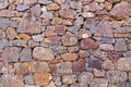 Background texture of lichen covering stone wall made of rocks Royalty Free Stock Photo