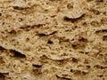 background texture of limestone stone surface. Shell limestone close-up as background