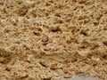 background texture of limestone stone surface. Shell limestone close-up as background