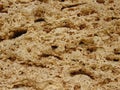 background texture of limestone stone surface. Shell limestone close-up as background