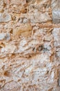 Background texture of limestone stone surface. Shell limestone close-up as background. Shell Limestone Blocks Wall. Shell