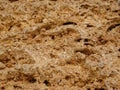 background texture of limestone stone surface. Shell limestone close-up as background