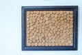 Background texture made from empty cork memo board Royalty Free Stock Photo