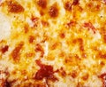 Background texture of melted mozzarella on a pizza Royalty Free Stock Photo