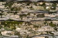 Background, texture - mossy layered natural stone