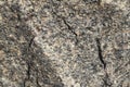 Background, texture. Natural stone granite. multi-colored - red, gray. Royalty Free Stock Photo