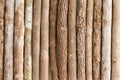 Background texture of natural wood pencil crayons