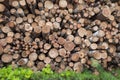 Background texture of neatly stacked logs of firewood. Pine log ends, wood cross sections