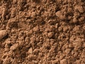 Background texture of nutmeg powder spice used as a spice in cooking.