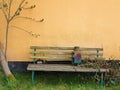 Background texture old bench and tree against an orange stone wall in the garden Royalty Free Stock Photo