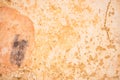 Grunge damaged plaster wall background texture Royalty Free Stock Photo