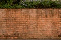 Background and texture of old decorative red brick wall fence on concrete floor with garden Royalty Free Stock Photo