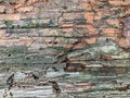 Background, texture of an old rotting, damaged wooden surface Royalty Free Stock Photo