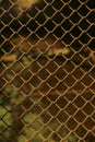 Background texture of old rusty metal mesh. Royalty Free Stock Photo