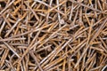 Background of the old rusty nails close-up. Royalty Free Stock Photo