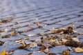 Background or texture from an old stone brustette with yellowing autumn, fallen leaves on the road. Royalty Free Stock Photo