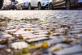 Background or texture from an old stone brustette with yellowing autumn, fallen leaves on the road. Royalty Free Stock Photo