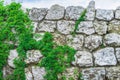 Background texture old stone wall plants sky