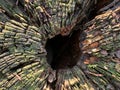 Background texture: old stump with a hollow. Dark hole in a cut tree. Concept: hole, wooden structure Royalty Free Stock Photo