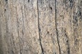 Background texture of an old wood panel composed of boards or planks for a vintage or rustic themed concept Royalty Free Stock Photo