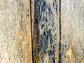 Background texture of old wood Royalty Free Stock Photo