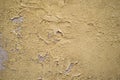 Background texture of old Cement wall Royalty Free Stock Photo