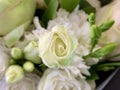 Background texture: open buds of white roses. Blooming white petals, beautiful roses. Bouquet of fresh, spring flowers