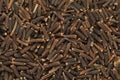 Background texture of Organic Bitter Cumin (Centratherum Anthelminticum).