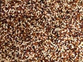 Organic Rainbow quinoa background texture