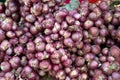 Background and texture of organic red onions. Royalty Free Stock Photo