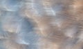 Background texture ostrich feathers in blurred motion