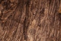 Background texture pattern of old barn wood boards - rustic cowboy antique vintage style Royalty Free Stock Photo