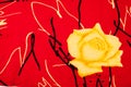 Background texture, pattern. Red silk fabric Yellow roses. Print Royalty Free Stock Photo