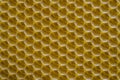 Background texture and pattern of section voshchina of wax honeycomb from a bee hive for filled with honey. Voshchina an Royalty Free Stock Photo