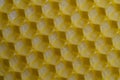 Background texture and pattern of section voshchina of wax honeycomb from a bee hive for filled with honey. Voshchina an Royalty Free Stock Photo