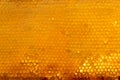 Background texture and pattern of a section of wax honeycomb from a bee hive filled with golden honey Royalty Free Stock Photo