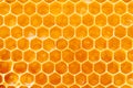 Background texture and pattern of a section of wax honeycomb from a bee hive filled with golden honey Royalty Free Stock Photo