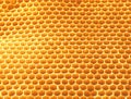 Background texture and pattern of wax honeycomb from a bee hive , top view