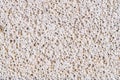 Background and texture pumice stone for cleaning feet and heels. Royalty Free Stock Photo