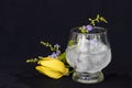 Background texture purple flower ,yellow flower ylang ylang and iced water in glass Royalty Free Stock Photo