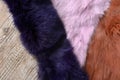 Brown blue and Pink rabbit fur background texture on the wooden table Royalty Free Stock Photo