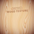 Background, texture of realistic natural wood