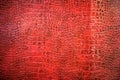 Background texture of red snake skin Royalty Free Stock Photo