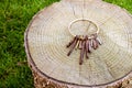 A ring of antique keys resting on a tree stump