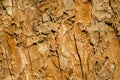 Background, texture - rotten wood