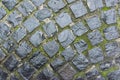 Background, texture, round vintage stone gray pavers with raindrops