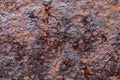 Background texture of rusted steel, grunge rust