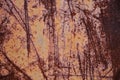 Background, texture of a rusty scratched sheet of metal Royalty Free Stock Photo