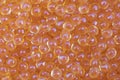 Background texture of salmon fish red caviar. Macro shot trout caviar texture pattern Royalty Free Stock Photo